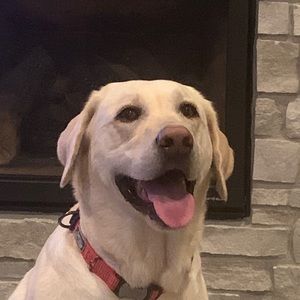 Meet your Posher, Leslie